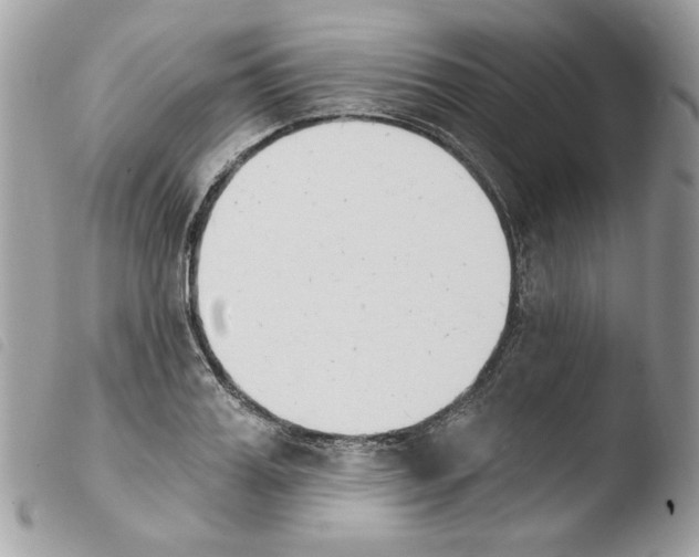 X0000103930987200810171747