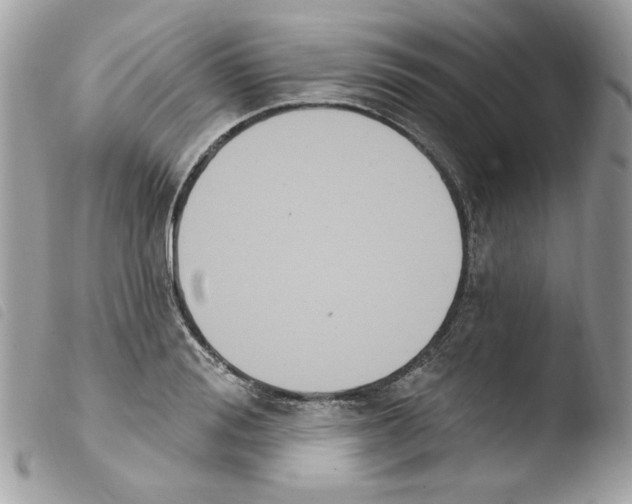 X0000103930988200810171747