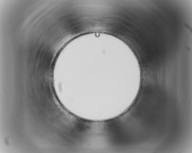 X0000103930989200810171747