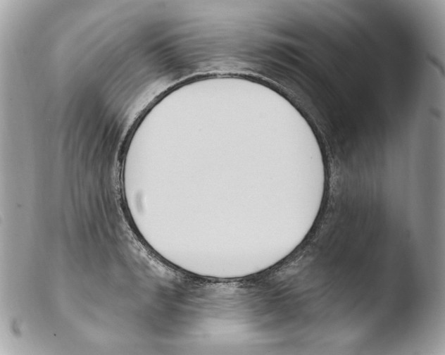 X0000103930990200810171747