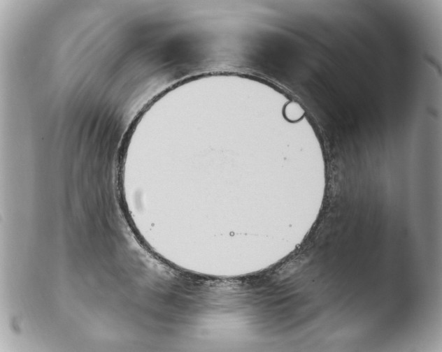 X0000103930991200810171747