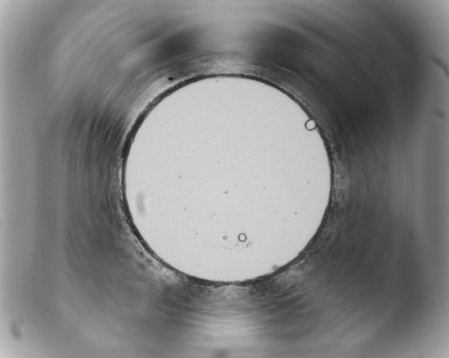 X0000103930992200810171747