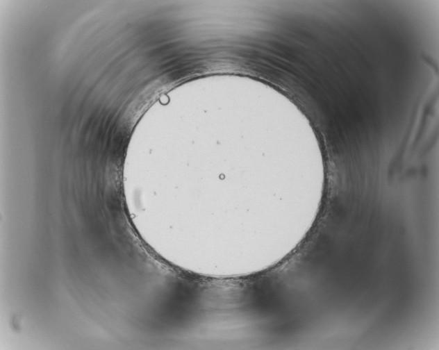 X0000103930993200810171747