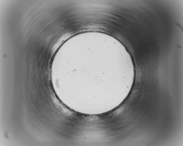 X0000103930994200810171747