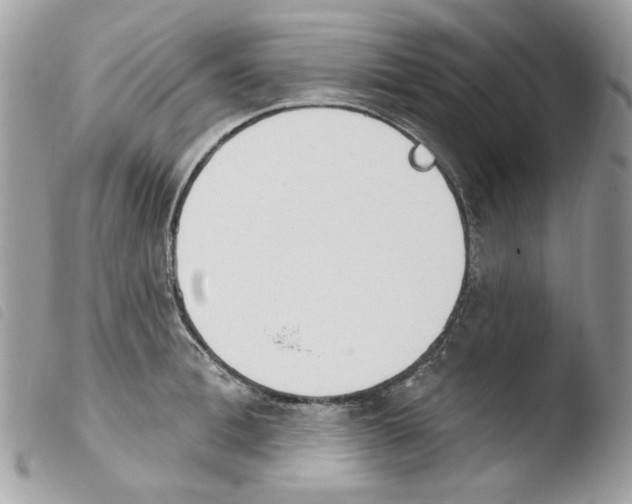 X0000103930996200810171747