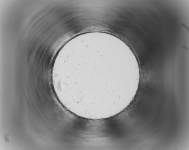 X0000103930997200810171747