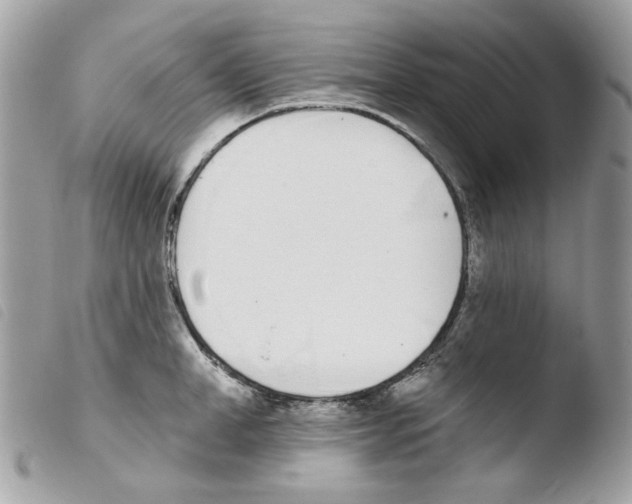 X0000103930998200810171747