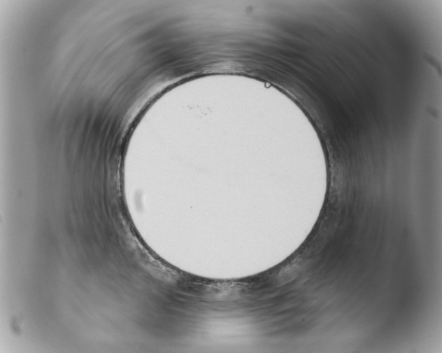 X0000103931000200810171747