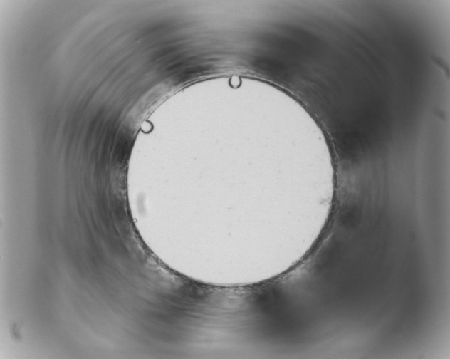 X0000103931001200810171747