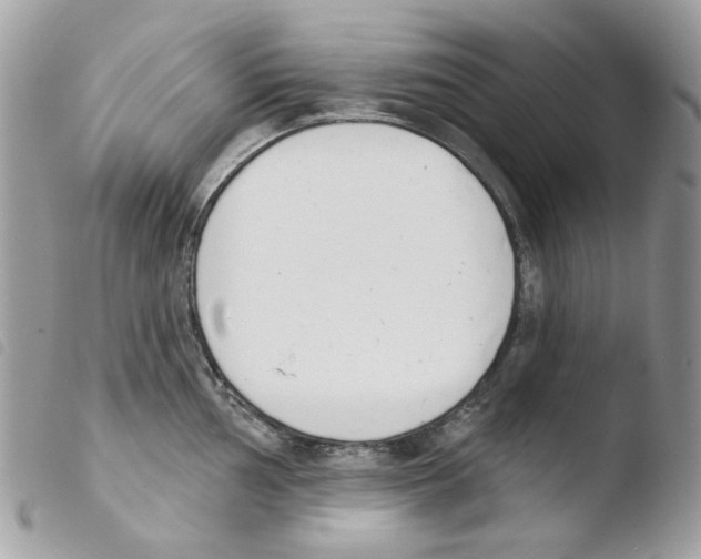 X0000103931002200810171747