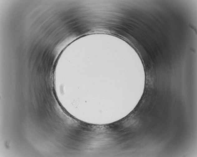 X0000103931003200810171747