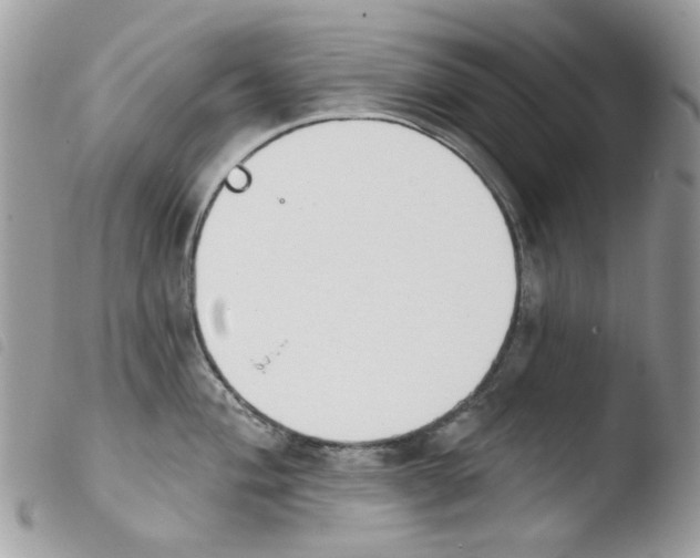 X0000103931004200810171747