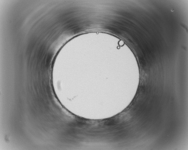 X0000103931005200810171747