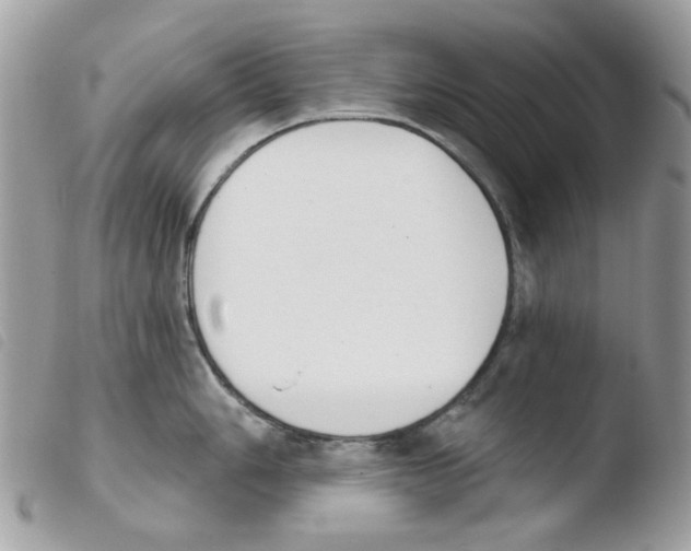 X0000103931006200810171747