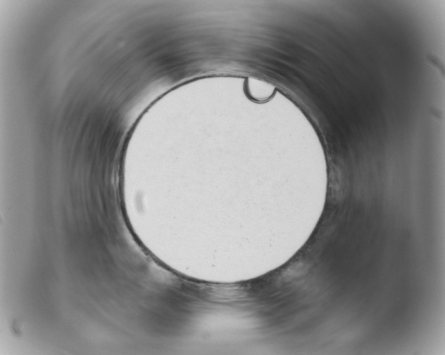 X0000103931007200810171747