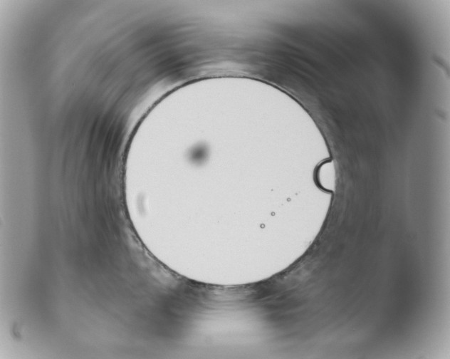 X0000103931008200810171747