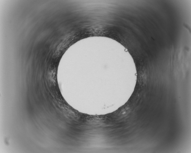 X0000103931010200810171746