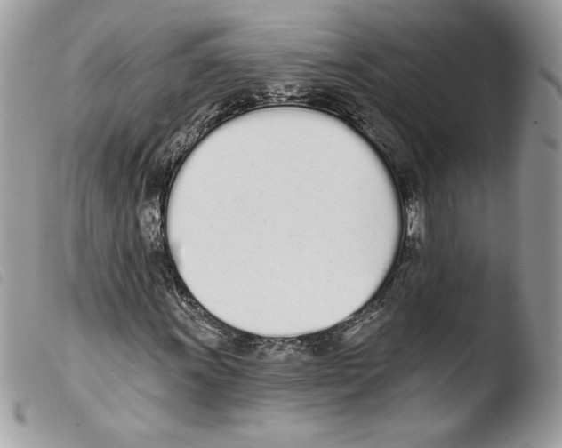 X0000103931011200810171746