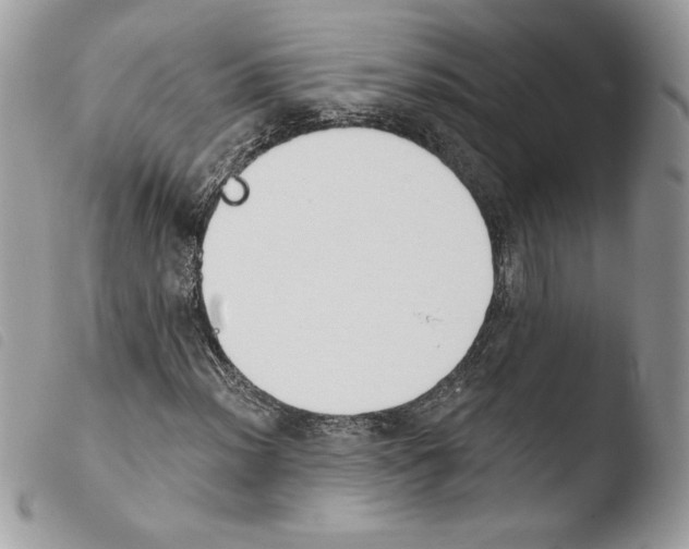 X0000103931012200810171746