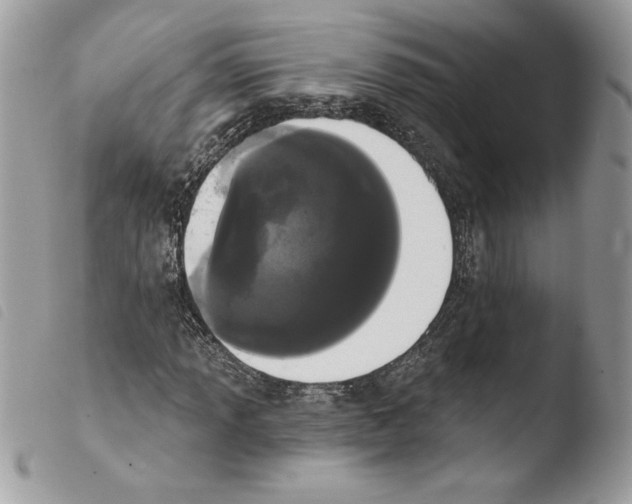 X0000103931013200810171746