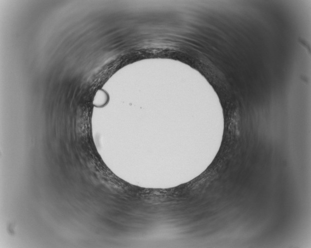 X0000103931014200810171746