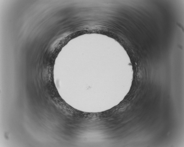 X0000103931016200810171747