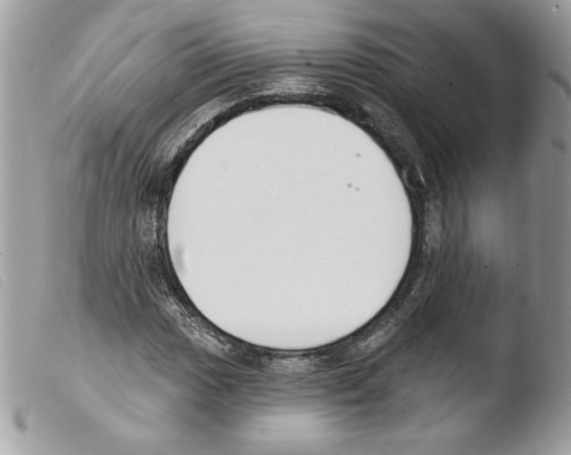 X0000103931017200810171747