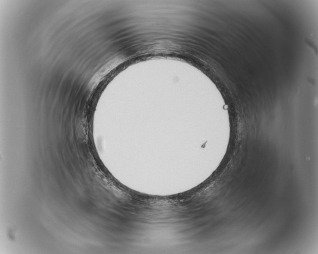 X0000103931018200810171747