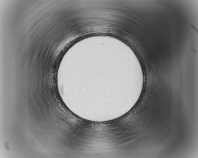 X0000103931019200810171747