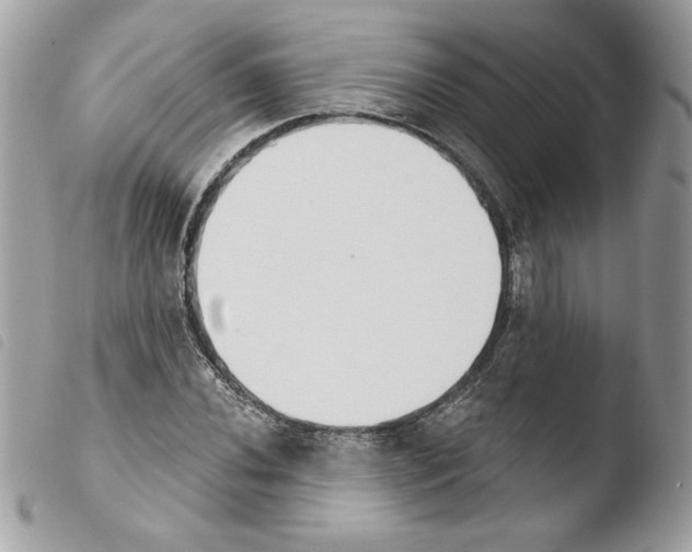 X0000103931020200810171747