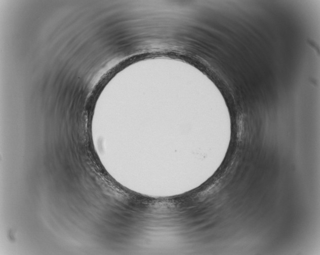 X0000103931021200810171747