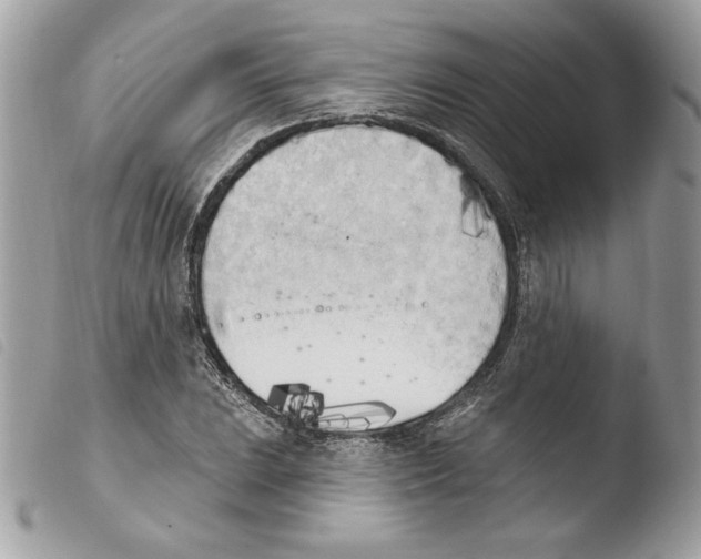 X0000103931023200810171747
