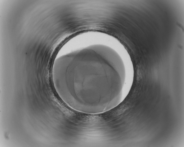 X0000103931024200810171747