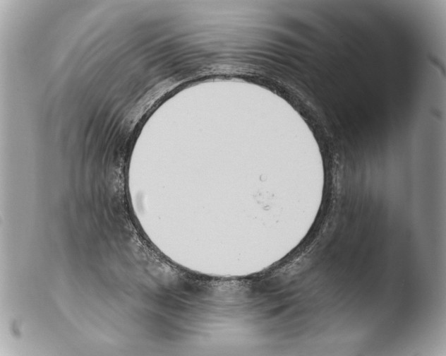 X0000103931025200810171747