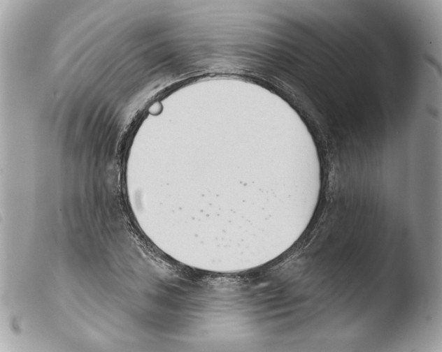 X0000103931027200810171747