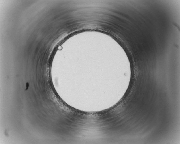 X0000103931029200810171747