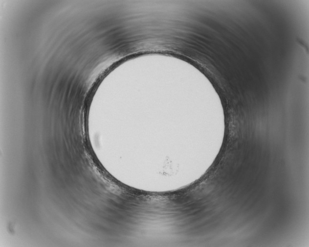 X0000103931030200810171747