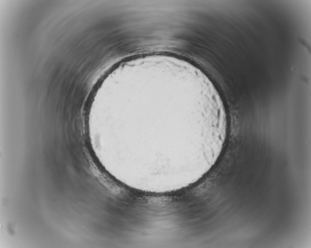 X0000103931031200810171747