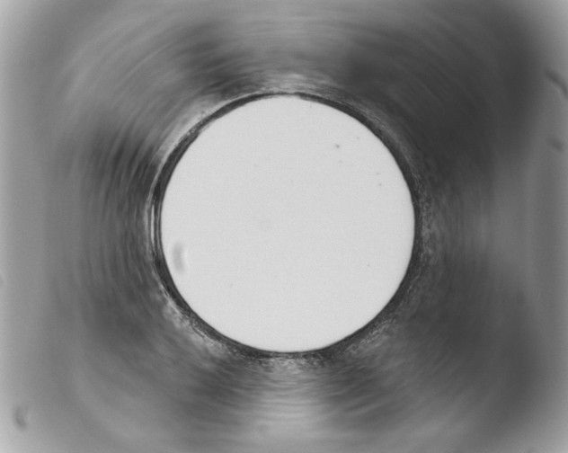 X0000103931032200810171747