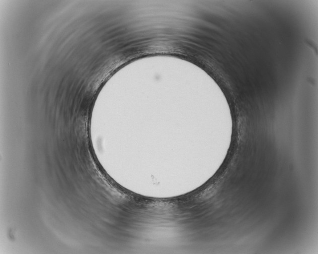 X0000103931033200810171747