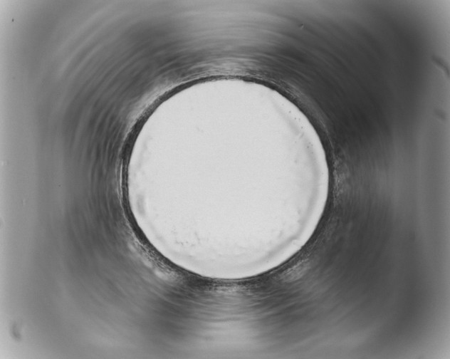 X0000103931035200810171747