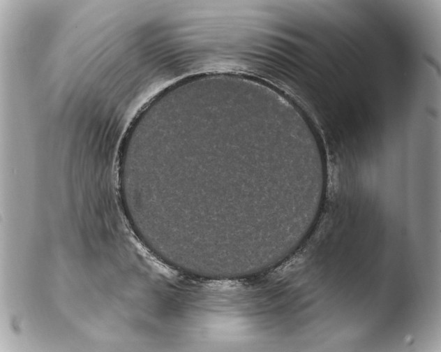 X0000103931037200810171747