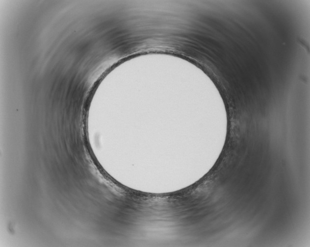 X0000103931038200810171747