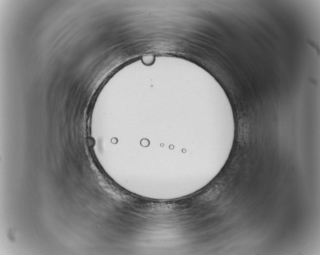 X0000103931039200810171747