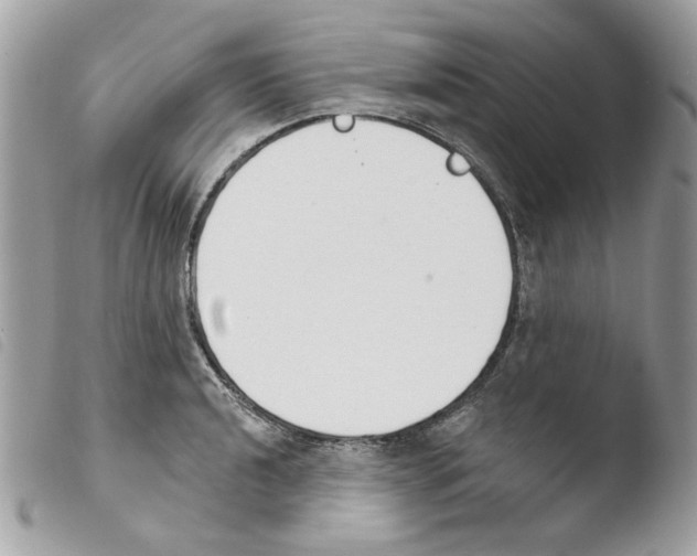 X0000103931040200810171747