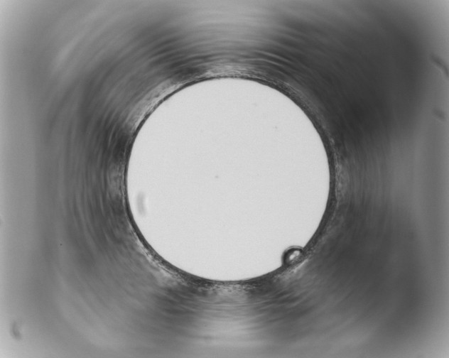 X0000103931041200810171747