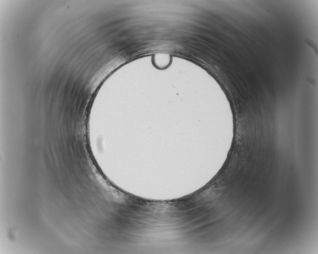 X0000103931042200810171747