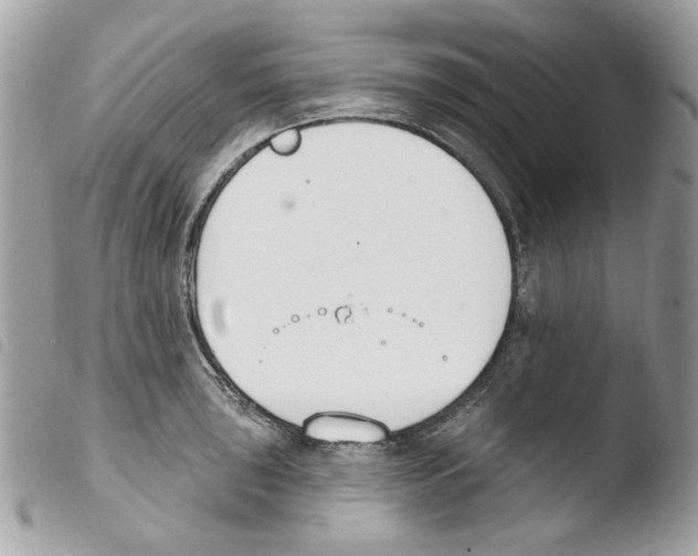 X0000103931043200810171747