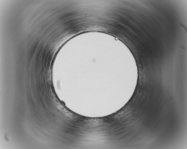 X0000103931044200810171747