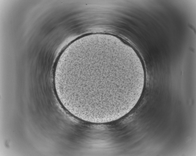 X0000103931045200810171747